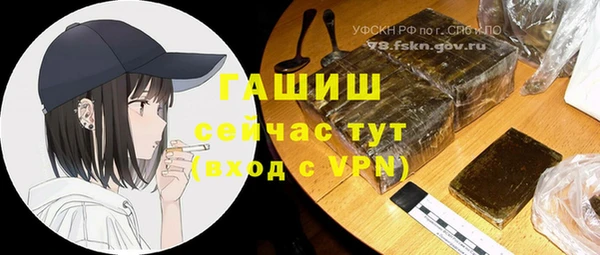 гашик Алексеевка