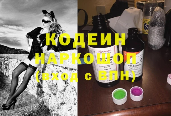 гашик Алексеевка