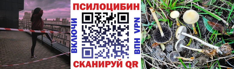Купить  Галич  Галлюциногенные грибы мухоморы 